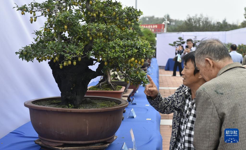 微信牛牛房卡
